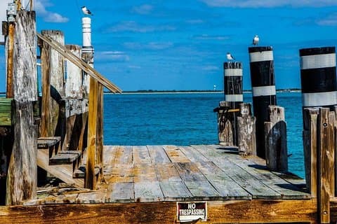 Egmont Key Snorkling Dolphin Tour