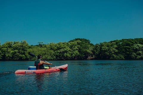 Tour de Mangue do Estuário do Caiaque de Tamarindo