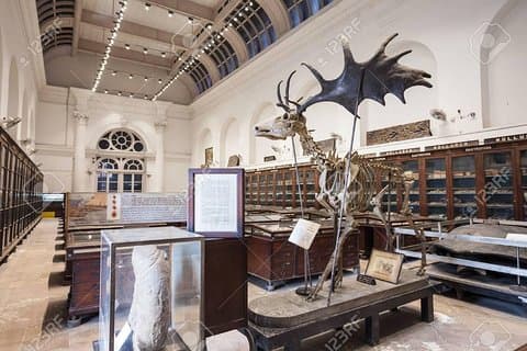 Visite au musée indien de Kolkata