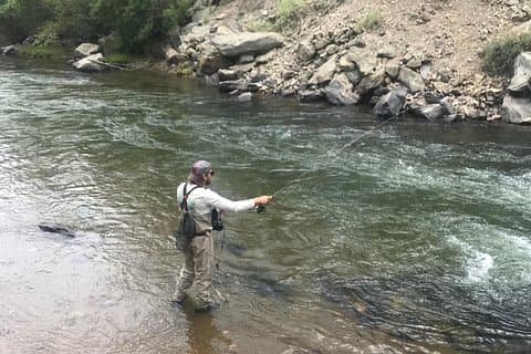 Halvdag Flyvefiskelektion på Clear Creek nær Denver