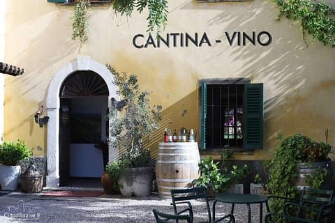Vinsmagning i det historiske centrum af Lazise