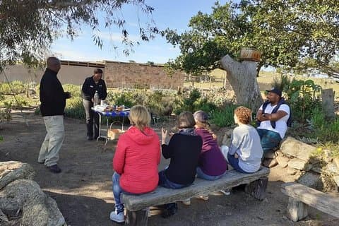Dagtrip naar de westkust vanuit Kaapstad