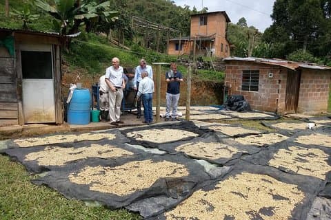 Excursão privada de café na Colômbia