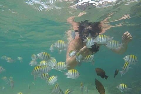 Regular Tour to Forte Beach - Leaving Salvador by Bahia Top Turismo