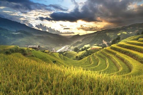Mu Cang Chai 3日間のトレッキング