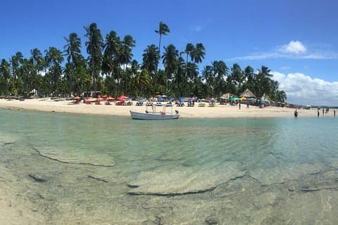 Aries Beach Private Tour - Group 1 to 6 PAX - Leaving Maragogi