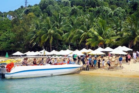 Entdeckung der Insel Cham - Hoi Ein halber Tag Private Tour.