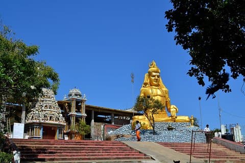 Day Tour to Trincomalee(Pigeon Island, Nilaveli) from Sigiriya