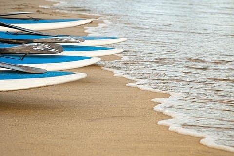 SUP verhuur van 1 uur in Cabo San Lucas