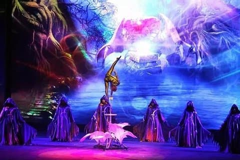 Fantastic Acrobatic show in Beijing with one way private transfer