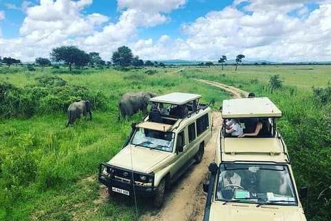 3 Tage 2 Nächte Abenteuer im Mikumi National Park