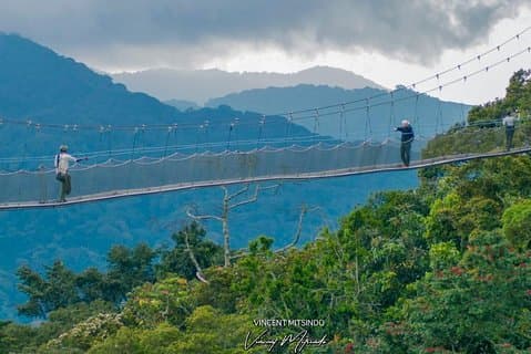 One Day Zipline Adventure, Vandreture, Naturvandring (2 Pax Min)