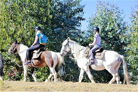 Équitation: 4 sites archéologiques