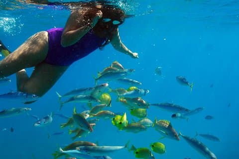 Ko Olina Catamaran Voile et tuba avec déjeuner