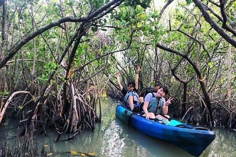 Thousand Island Mangrove Tunnel, Manatee & Dolphin Kayak Tour w/Cocoa Kayaking