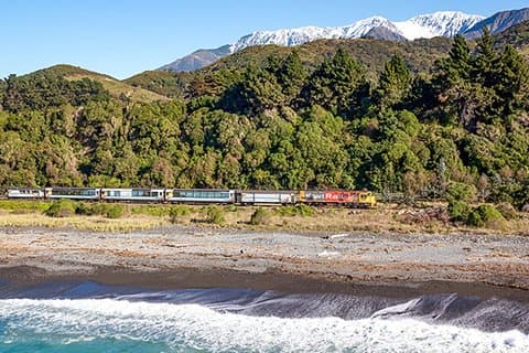 クライストチャーチからの 3 日間のカイコウラ シーライフとコーチ ツアー