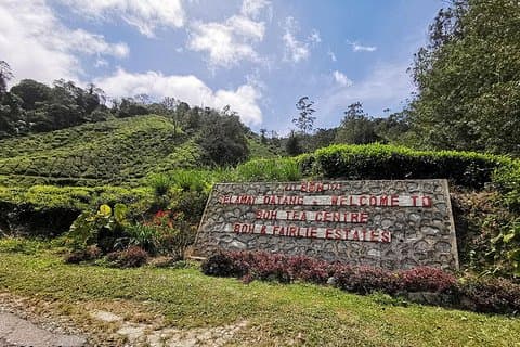 Tour di un'intera giornata a Cameron Highlands