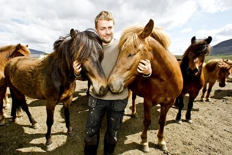 Icelandic Horseback Riding Tour Including Pick Up from Reykjavik