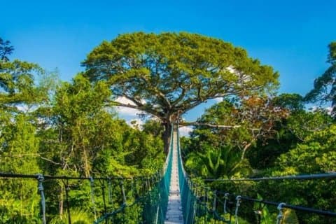 Tour de 4 días por Tambopata y Puerto Maldonado – Explora la Amazonia