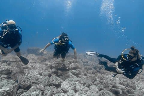Catalina Island dykkertur fra Tamarindo - Kun sertifisert