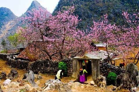 Discover Hagiang 2 Days 1 Night
