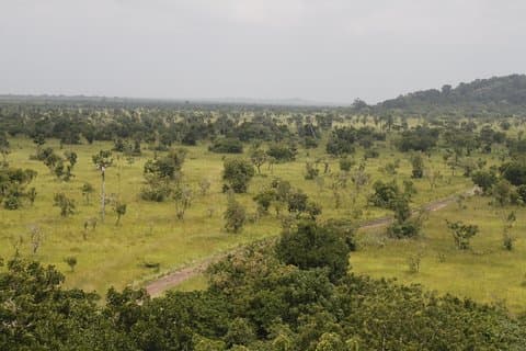 Ontdek de natuur in Shai Hills