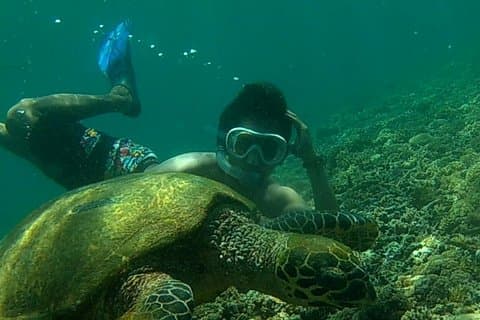 Pacchetto 3 giorni: tour della città, snorkeling ed escursioni alle cascate