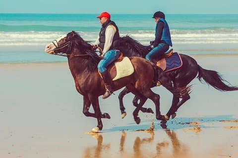 Reiten: EL GHANDOURI - Tanger - 2 Stunden