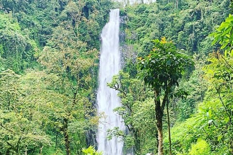 Materuni waterfalls and coffee Tour