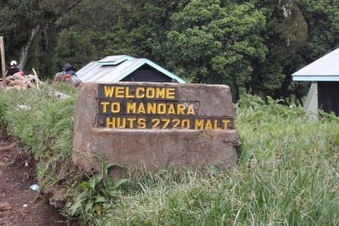 Kilimanjaro Mountain Tagesausflug Wandern