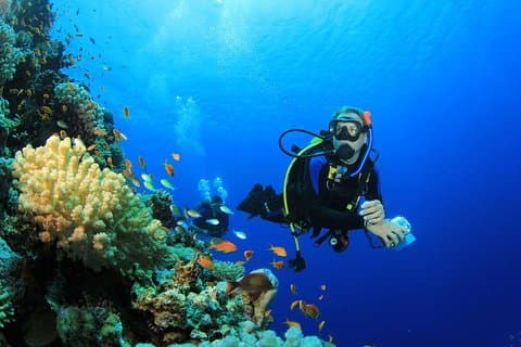 Hurghada: excursion d'une journée complète en plongée sous-marine avec déjeuner