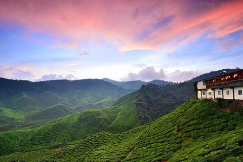 Cameron Highlands nach Kuala Lumpur