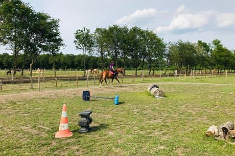 Riding course for all levels 1/2 day (3 hours)