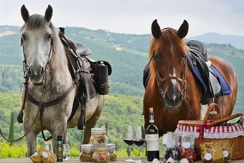 Vino y caballos