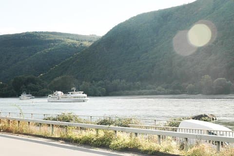 Privat tur: Anpassningsbar Rhendalen dagstur från Frankfurt