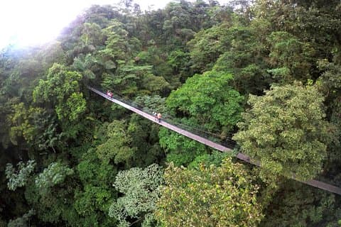 La Fortuna Waterfall, Hanging Bridges, Arenal Volcano Combo Tour