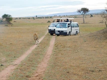 Riserva nazionale privata di 4 giorni Masai Mara e safari nel parco nazionale del lago Nakuru