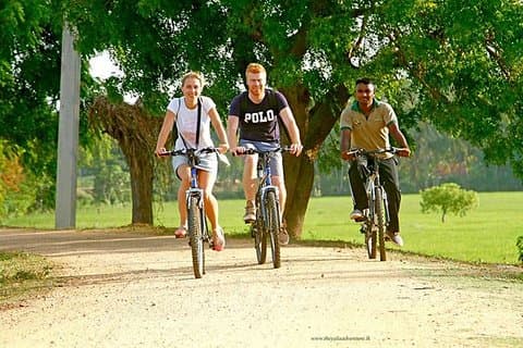 Exclusive: Cycling Expedition in Yala with Pickup and Drop-Off