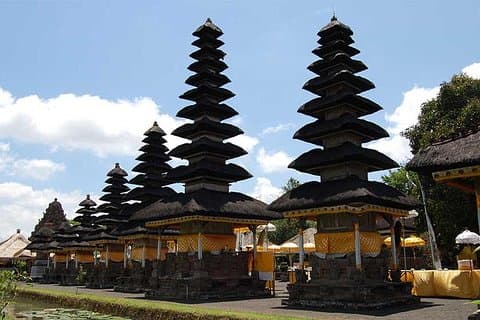 Taman Ayun Temple, Sangeh Monkey Forest, Swing included Transport & Lunch