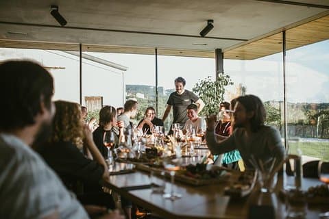Wine Tasting with Pairing Snacks in Vipava Valley