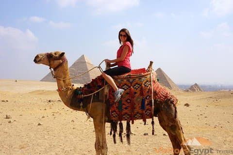 Visite privée de 8 heures des pyramides, du musée égyptien et du bazar du Caire.
