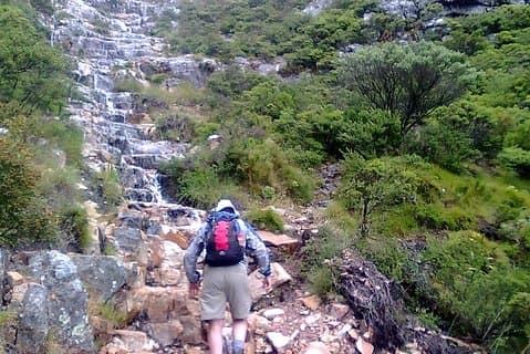 Randonnée et trekking sur Table Mountain + Transport