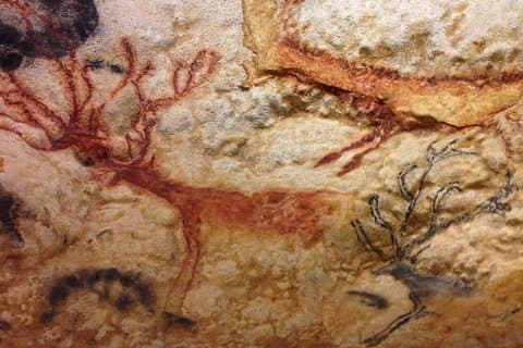 Bordeaux to Lascaux and Dordogne Valley Private Sightseeing Tour