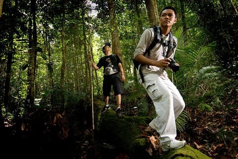 Semenggok Wildlife Centre