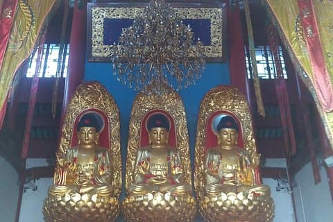 Alt inkludert Jiuhuashan buddha fjellet 1 dag privat tur - Ingen shopping