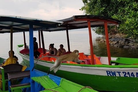 One-day Kivu Lake Adventure