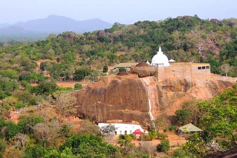 Southern Coastal End Temple Tour from Hambantota Habour