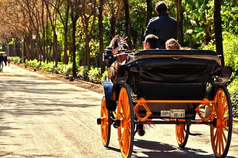 セビリアを巡る馬車乗り