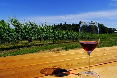 Privat tur: Vancouver Half Day Wine Tasting Tour