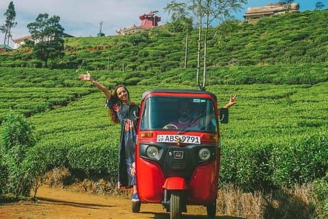 Exclusief : Theetuinen en watervallen van Nuwara Eliya door Tuk-Tuk